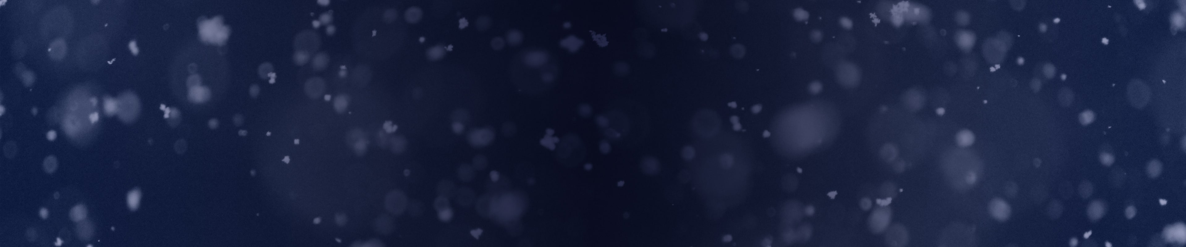 Don't miss our holiday shipping deadlines featuring a navy backround with falling snowflakes.